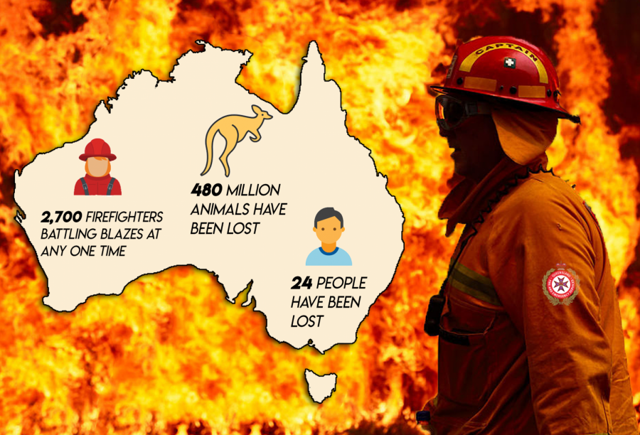 Looking Past the Fire: The impact of the Australia fires can be seen in the number of animals, people, and firefighters lost.