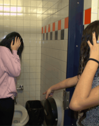 New species discovered in Cape High bathrooms